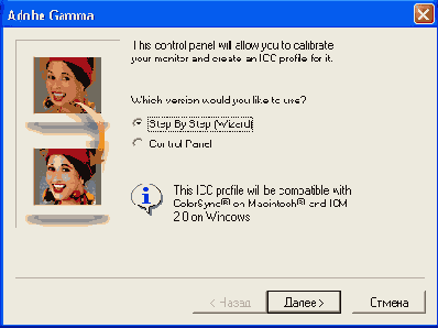    Adobe Gamma